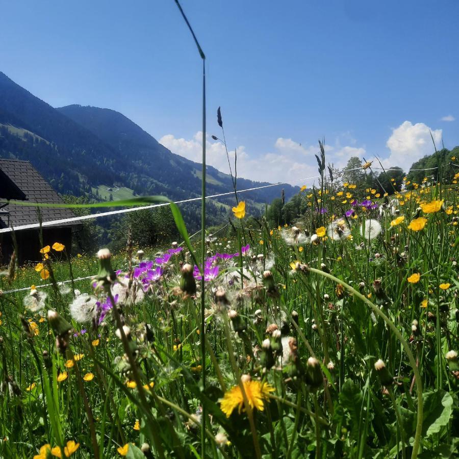 Sunnaschi Appartements - Wohnungen Oder Gesamt Als "Huette" Латернс Экстерьер фото