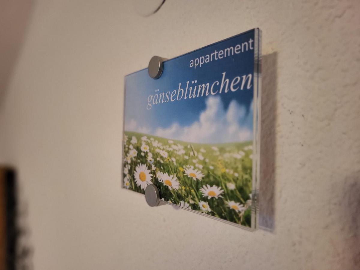 Sunnaschi Appartements - Wohnungen Oder Gesamt Als "Huette" Латернс Экстерьер фото