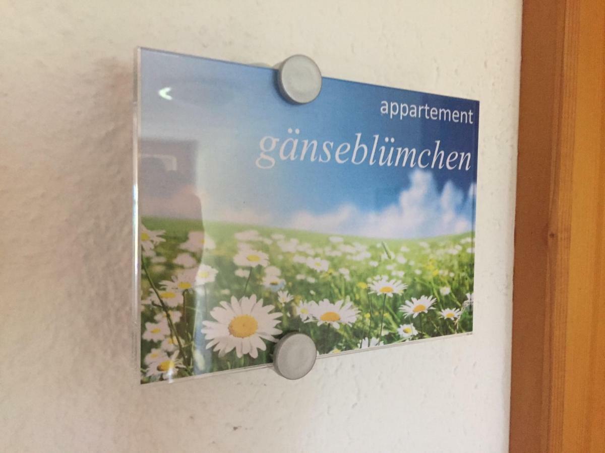 Sunnaschi Appartements - Wohnungen Oder Gesamt Als "Huette" Латернс Экстерьер фото